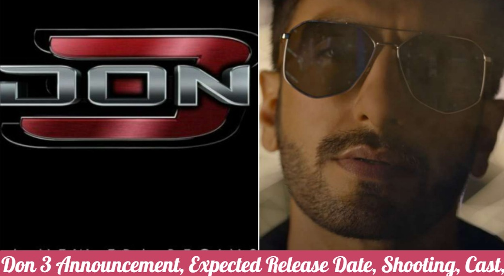 Don 3 Announcement, Expected Release Date, Shooting, Cast, Storyline, Budget, Trailer